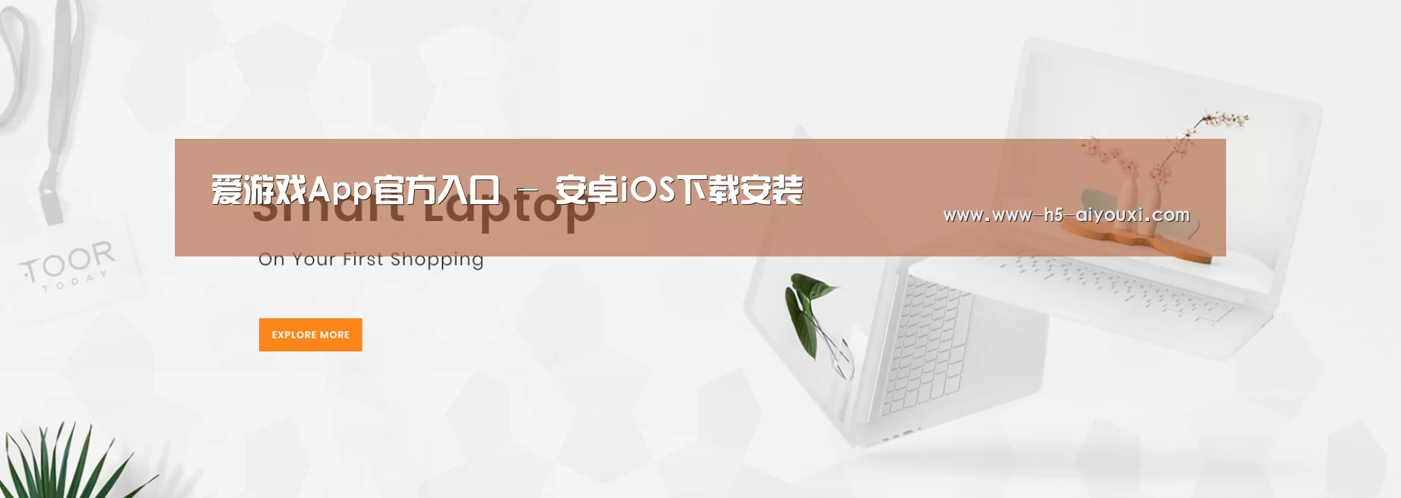 某某网络科技有限公司