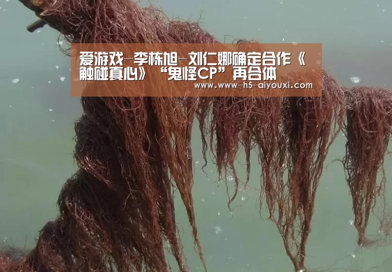 爱游戏-李栋旭-刘仁娜确定合作《触碰真心》“鬼怪CP”再合体(图4) 爱游戏