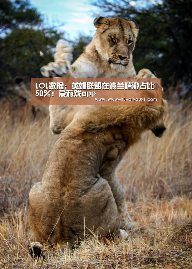 爱游戏