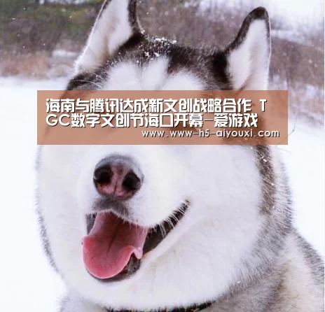 海南与腾讯达成新文创战略合作 TGC数字文创节海口开幕-爱游戏(图1) 爱游戏官网