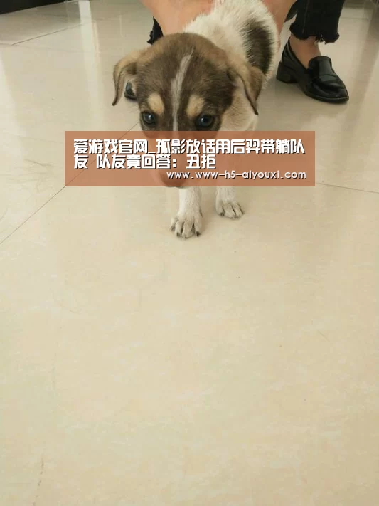 爱游戏